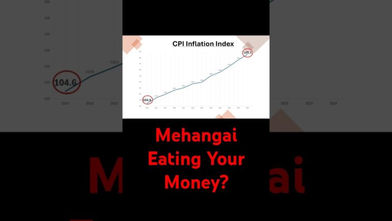 Inflation EXPOSED! How Prices Changed in 11 Years